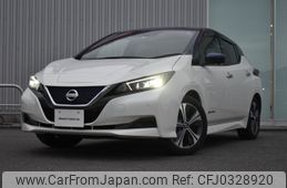 nissan leaf 2019 -NISSAN--Leaf ZAA-ZE1--ZE1-066896---NISSAN--Leaf ZAA-ZE1--ZE1-066896-