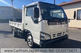 isuzu elf-truck 2006 GOO_NET_EXCHANGE_0403895A30241218W001