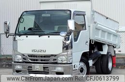 isuzu elf-truck 2019 GOO_NET_EXCHANGE_0706903A30250103W002