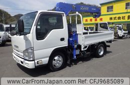 isuzu elf-truck 2010 GOO_NET_EXCHANGE_0720194A30240411W001