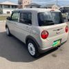 suzuki alto-lapin-chocolat 2024 CFJ1803127 image 8