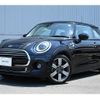 mini mini-others 2020 CFJ1631266 image 1