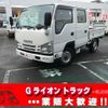 isuzu elf-truck 2017 GOO_NET_EXCHANGE_0702476A30250612W002 image 1