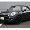 mini mini-others 2017 CFJ1713706 image 1