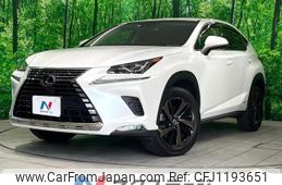 lexus nx 2019 quick_quick_AYZ10_AYZ10-1023876