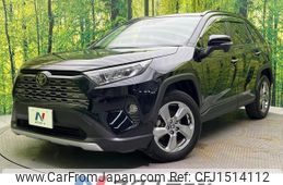 toyota rav4 2019 CFJ1514112