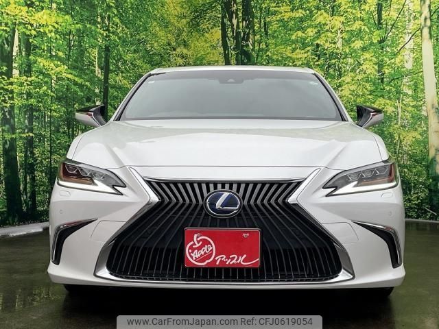 lexus es 2019 -LEXUS--Lexus ES 6AA-AXZH10--AXZH10-1001791---LEXUS--Lexus ES 6AA-AXZH10--AXZH10-1001791- image 2