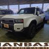 toyota toyota-others 2025 quick_quick_3BA-TRJ250W_TRJ250-0018494 image 1