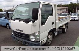 isuzu elf-truck 2019 GOO_NET_EXCHANGE_0560787A30250608W002