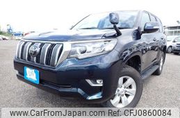 toyota land-cruiser-prado 2019 N2024090090F-10