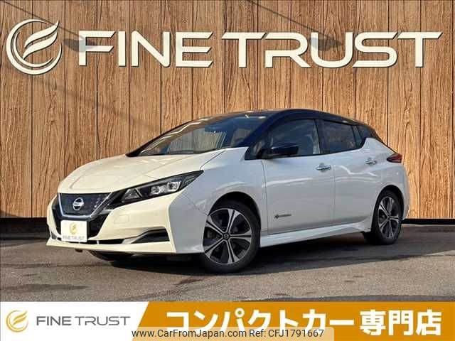 nissan leaf 2020 CFJ1791667 image 1