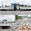 nissan diesel-ud-quon 2009 GOO_NET_EXCHANGE_0602526A30250718W003 image 9