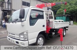 isuzu elf-truck 2008 GOO_NET_EXCHANGE_0507527A30250611W001