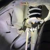nissan note 2018 -NISSAN--Note DAA-HE12--HE12-162189---NISSAN--Note DAA-HE12--HE12-162189- image 20