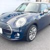 mini mini-others 2017 CFJ1755372 image 17