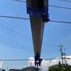 mitsubishi-fuso fighter 2025 CFJ1496116 image 15