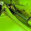 mitsubishi-fuso canter 2012 GOO_NET_EXCHANGE_0500521A30250717W002 image 32