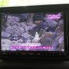 suzuki jimny-sierra 2022 quick_quick_3BA-JB74W_JB74W-171998 image 12