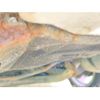 subaru legacy-b4 2006 CFJ1639405 image 30