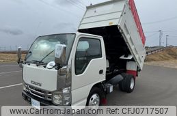 isuzu elf-truck 2007 GOO_NET_EXCHANGE_0901510A30250130W002