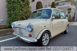 rover mini 1995 GOO_JP_700050294530250506001