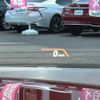 toyota supra 2022 CFJ1534640 image 19
