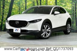 mazda cx-3 2019 CFJ1737093