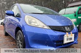 honda fit 2010 GOO_JP_700090373030241224005