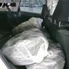 honda shuttle 2020 CFJ1790690 image 9