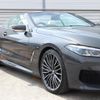 bmw 8-series 2019 quick_quick_BC44_WBAFY42080BJ98299 image 12