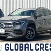 mercedes-benz gla-class 2021 quick_quick_3DA-247713M_W1N2477132J264381 image 1