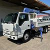 isuzu elf-truck 2009 GOO_NET_EXCHANGE_0704554A30250426W001 image 1