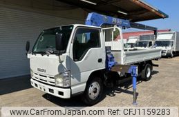 isuzu elf-truck 2009 GOO_NET_EXCHANGE_0704554A30250426W001