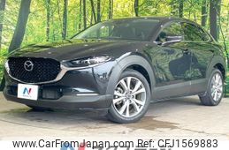 mazda cx-3 2019 CFJ1569883