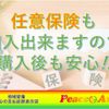 mitsubishi delica-truck 2006 CFJ1555786 image 46