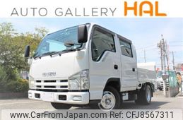 isuzu elf-truck 2007 GOO_NET_EXCHANGE_0708619A30230510W001