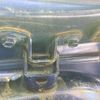 honda fit 2007 -HONDA--Fit DBA-GE8--GE8-1003759---HONDA--Fit DBA-GE8--GE8-1003759- image 15