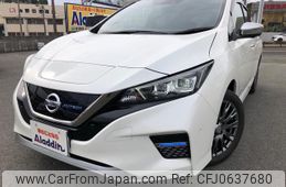 nissan leaf 2021 GOO_JP_700080241230250112001