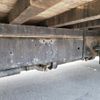 nissan diesel-ud-condor 2011 GOO_NET_EXCHANGE_0403257A30250513W001 image 28