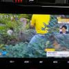 toyota roomy 2018 -TOYOTA--Roomy DBA-M900A--M900A-0244007---TOYOTA--Roomy DBA-M900A--M900A-0244007- image 35