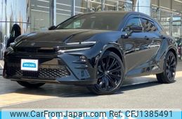 toyota toyota-others 2024 CFJ1385491