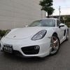 porsche cayman 2013 -PORSCHE--Porsche Cayman ABA-981MA122--WP0ZZZ98ZEK161547---PORSCHE--Porsche Cayman ABA-981MA122--WP0ZZZ98ZEK161547- image 1