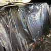 toyota corolla-sport 2021 CFJ1595684 image 9