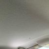 mazda demio 2007 CFJ1754124 image 11