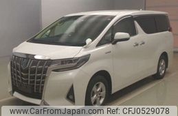 toyota alphard 2019 -TOYOTA--Alphard DAA-AYH30W--AYH30-0096299---TOYOTA--Alphard DAA-AYH30W--AYH30-0096299-