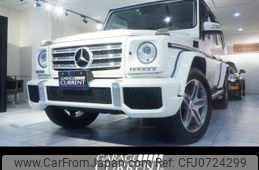 mercedes-benz g-class 2013 GOO_JP_700957168630250130001