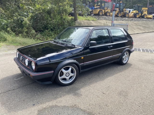 1987 Volkswagen Golf E-19PL 2WD - Car Price $10,343