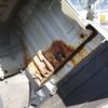 mitsubishi-fuso super-great 2011 CFJ1465574 image 26