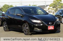 nissan leaf 2019 CFJ1665823