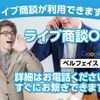 suzuki lapin 2024 GOO_JP_700060017330250120006 image 31
